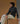 Cashmeresweater med rullekrave